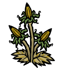 饥荒联机版种瓜得瓜新版农场攻略20