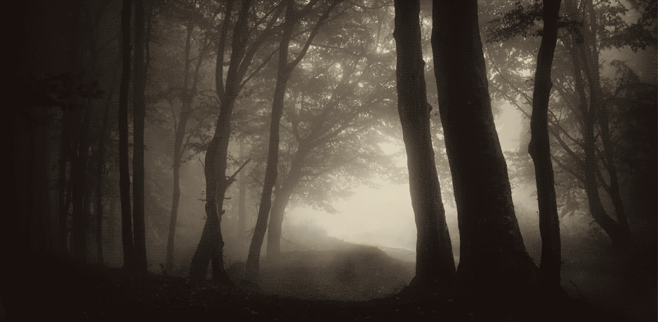 《陰暗森林》：恐懼與沉浸感的構成-第22張
