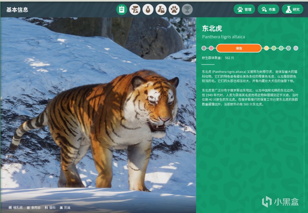 《动物园之星》:偷的浮生半日闲,我来建个动物园的图片 《动物园之星》:偷的浮生半日闲,我来建个动物园