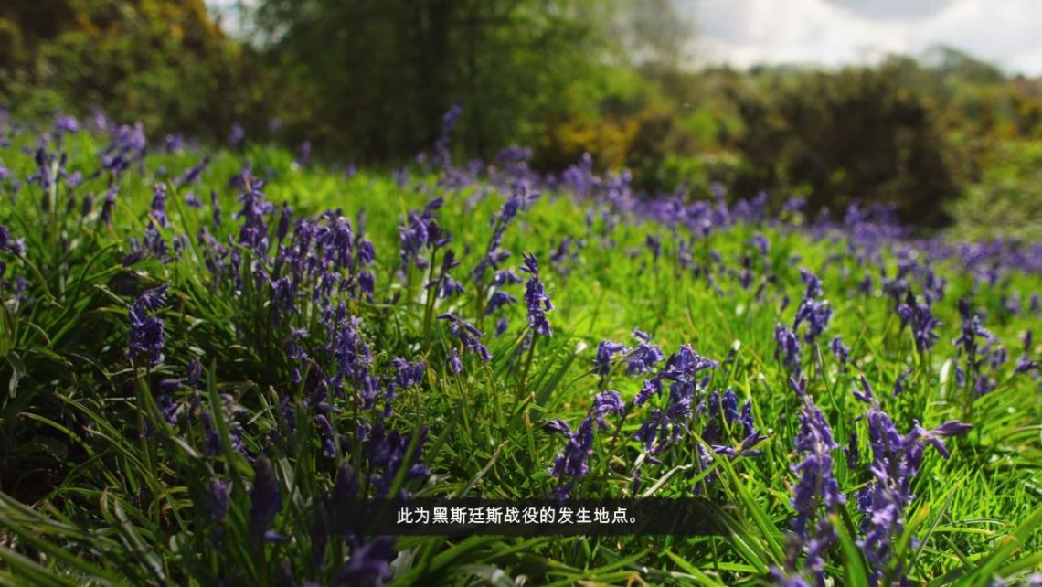 《帝国时代4》:延续《帝国时代》经典的中世纪题材RTS佳作的图片 《帝国时代4》:延续《帝国时代》经典的中世纪题材RTS佳作