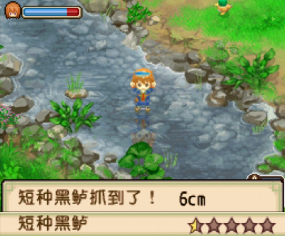 【手機遊戲】遊戲推薦：《牧場物語：雙子村》，12年前發售放在今日依舊值得一玩的遊戲-第3張
