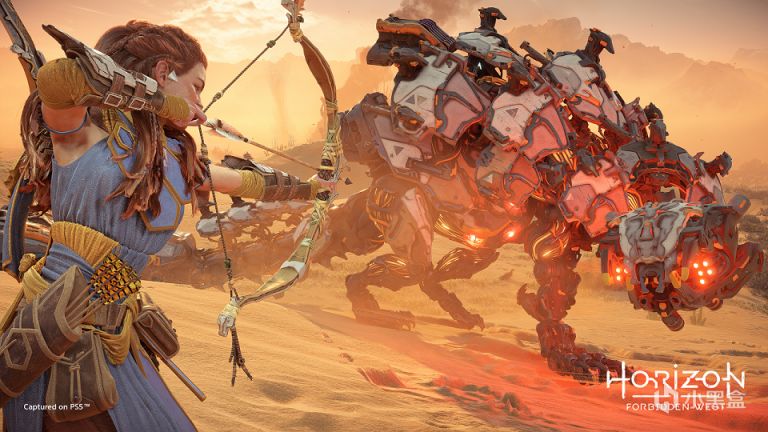 《地平線西域禁地》評測：PS5遲到的護航大作-第7張