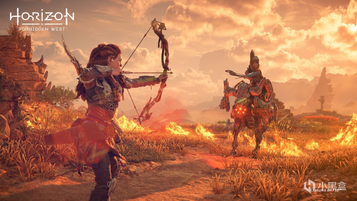 《地平線西域禁地》評測：PS5遲到的護航大作-第5張