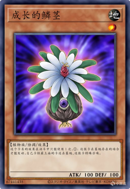 【遊戲王：Master Duel】自古N卡出假卡，盤點遊戲王裡的平民戰神！-第2張