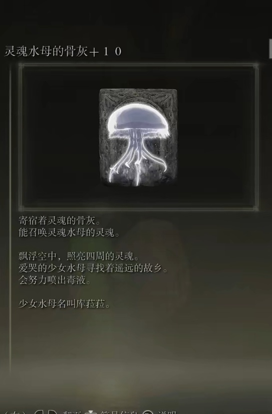 【艾爾登法環】全64種骨灰整理-第3張