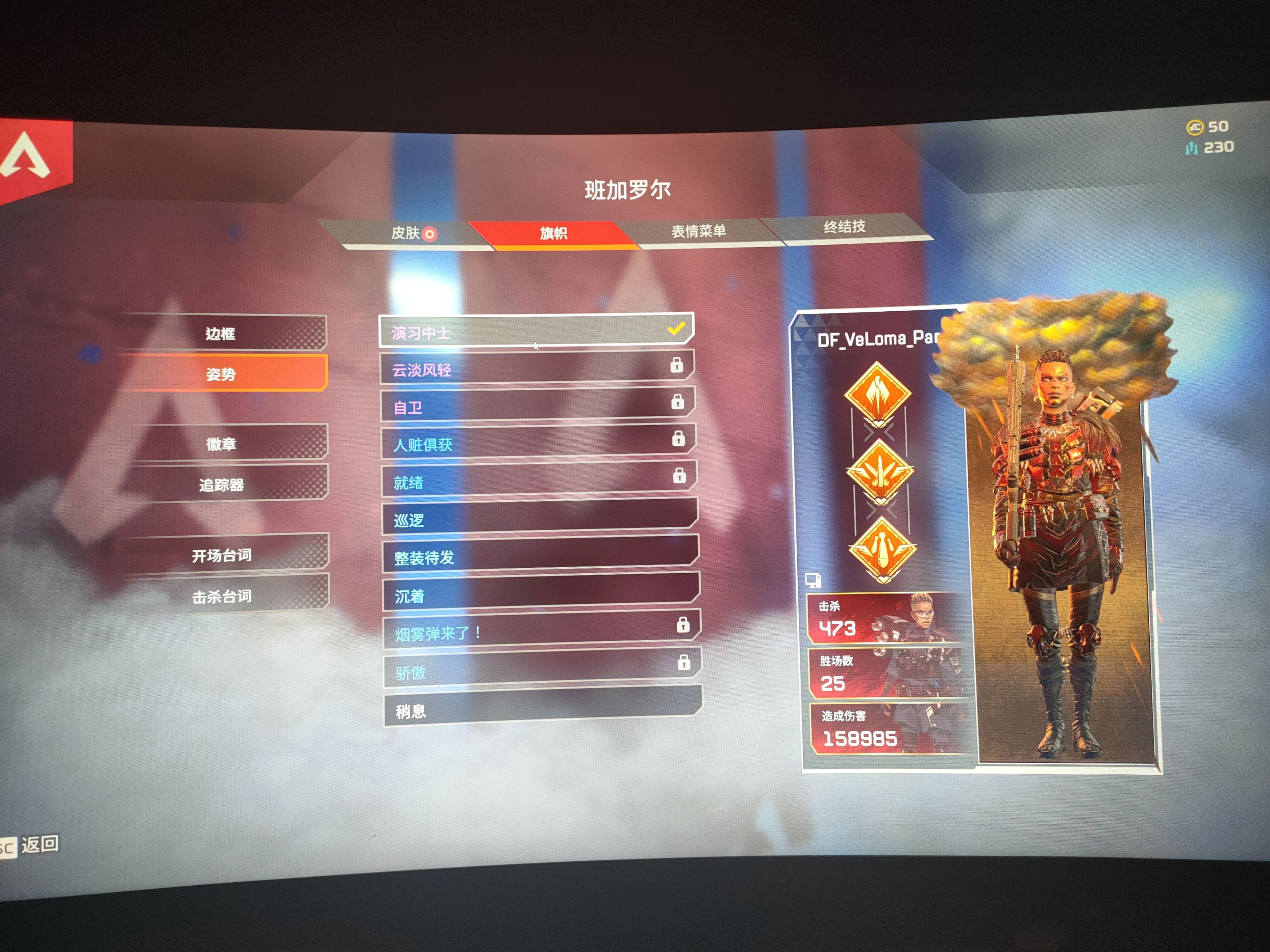 【Apex 英雄】APEX旗帜  搭配 颜色-第5张