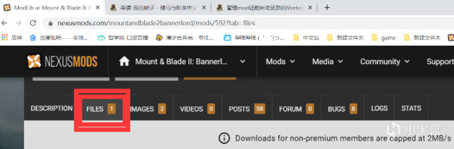 【攻略精選】從小白到大師，騎砍2MOD安裝速成-第2張