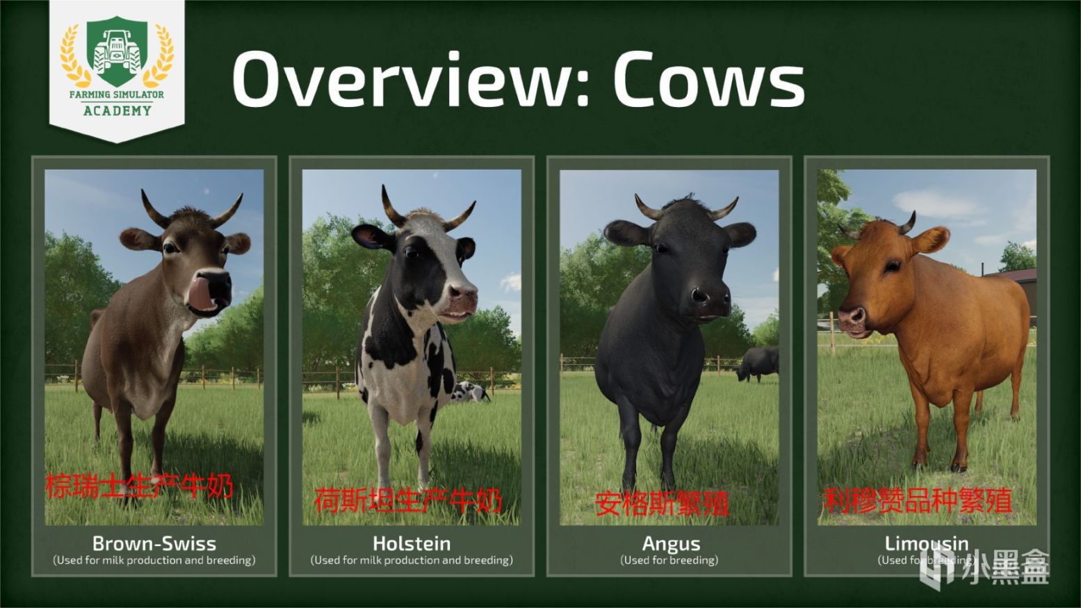 【PC游戏】农场模拟2022[畜牧业]奶牛 如何繁殖和照顾牛-第1张
