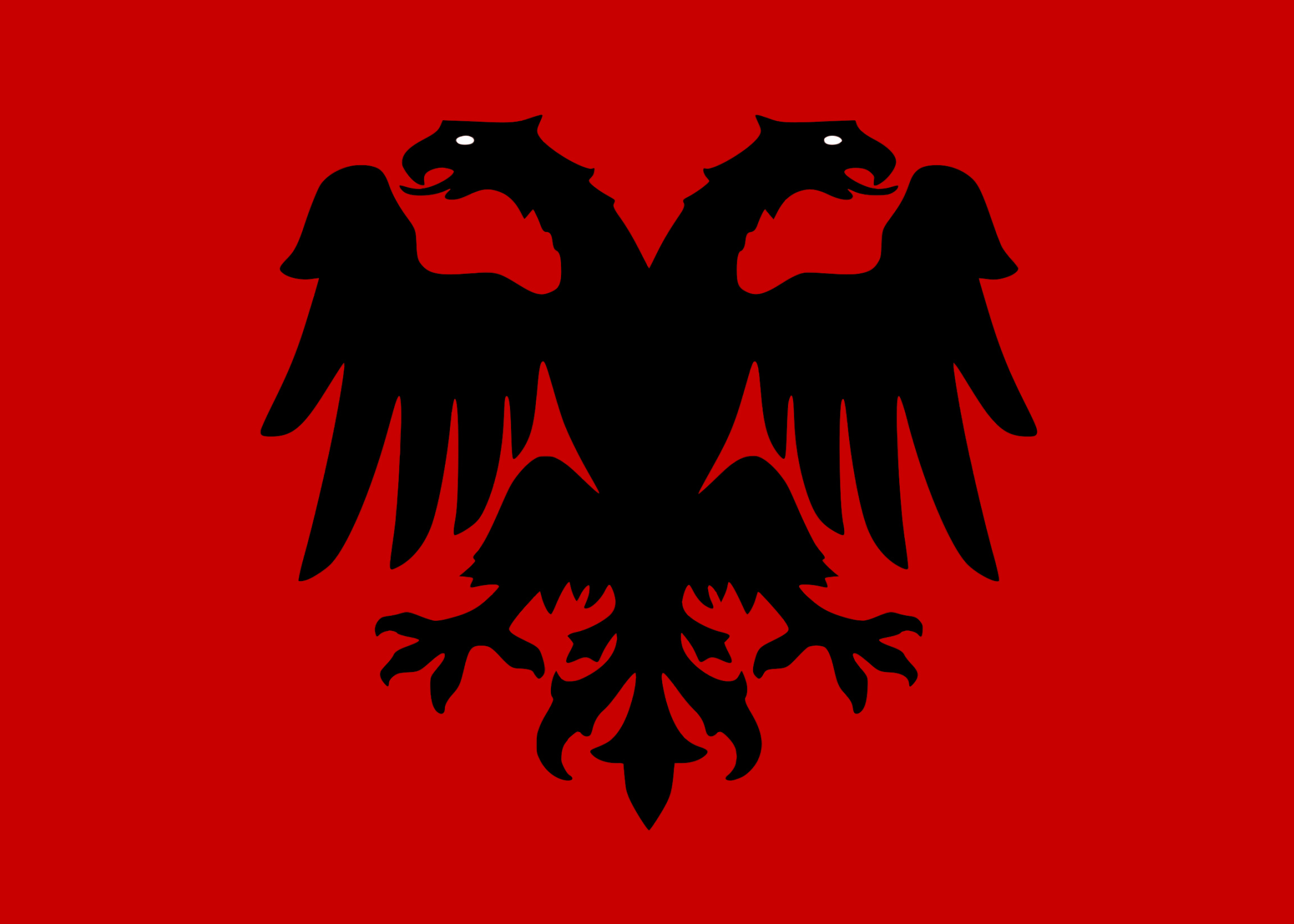 【PC游戏】阿尔巴尼亚国旗（试投）-第4张