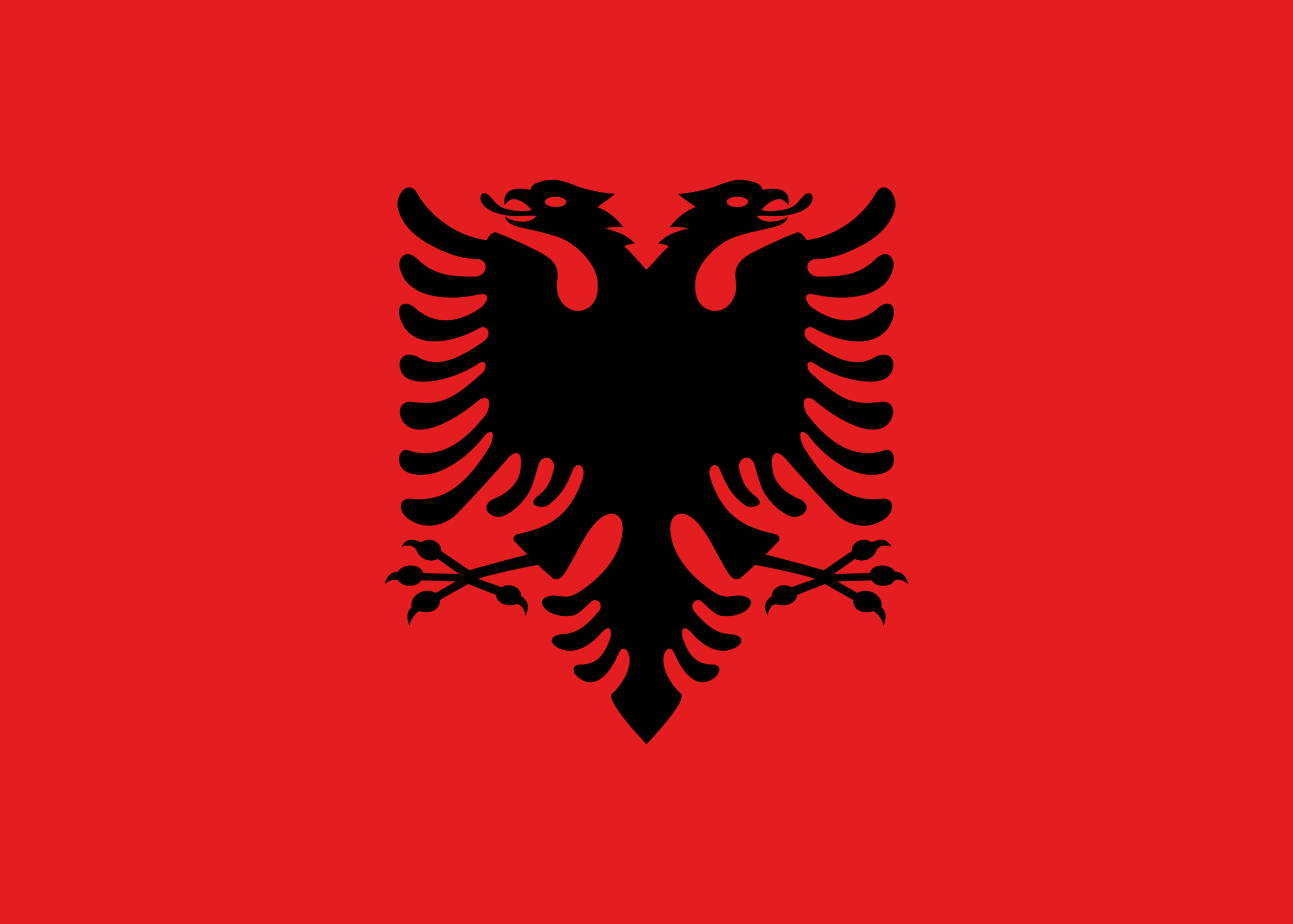 【PC游戏】阿尔巴尼亚国旗（试投）-第16张