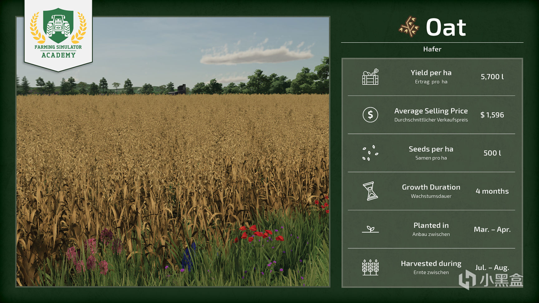【PC遊戲】農場模擬2022作物類型簡介：概述-第9張