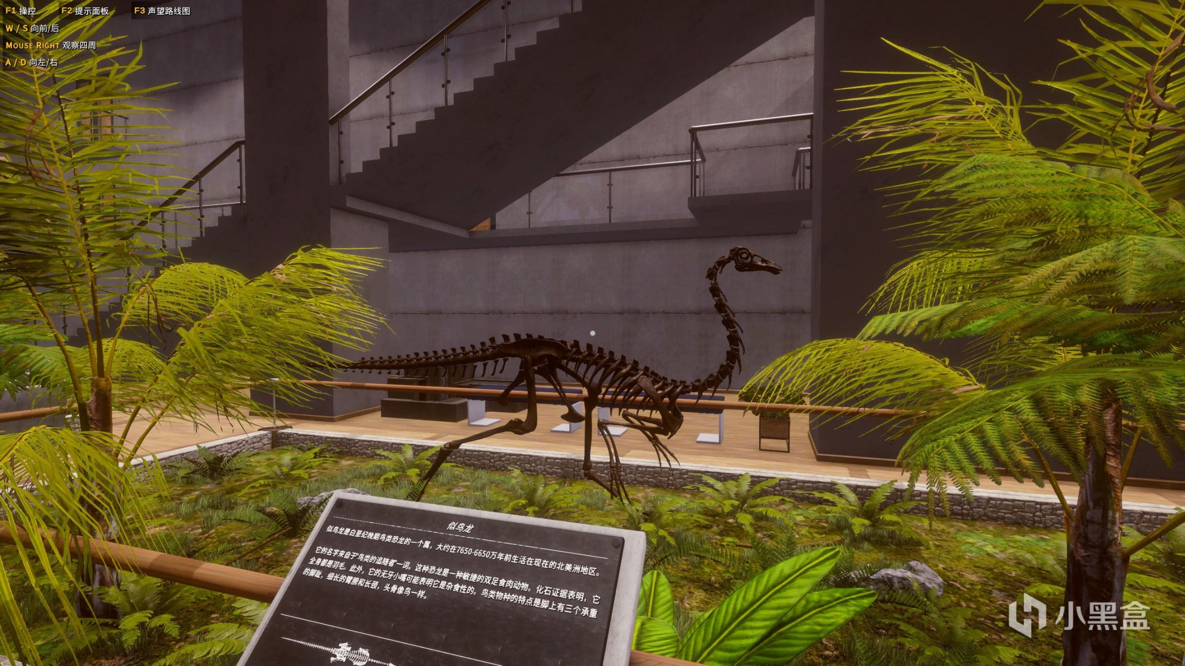 《恐龙化石猎人》：古生物学家模拟器，硬核上手-第16张