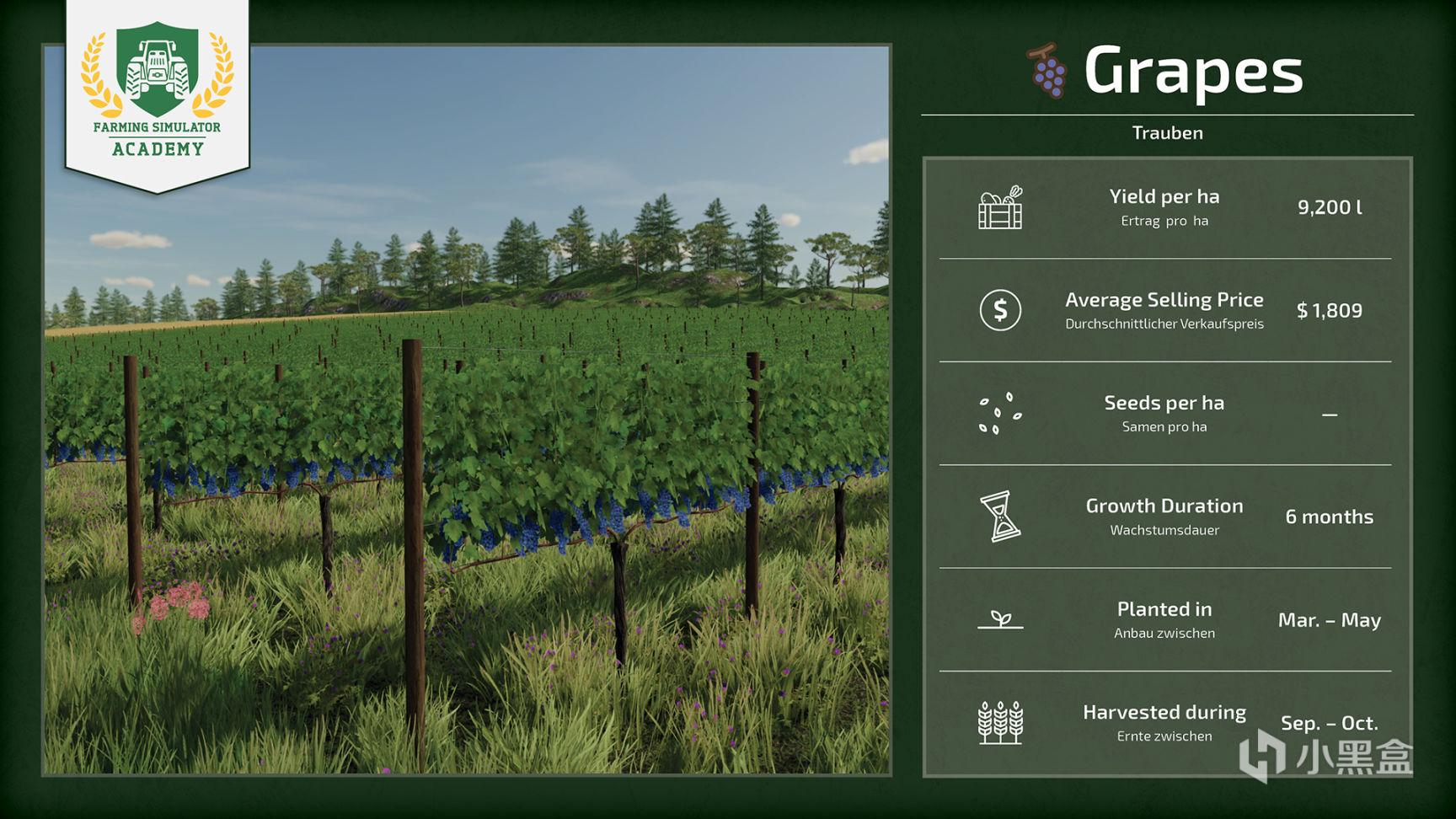 【PC遊戲】農場模擬2022如何播種和收穫葡萄-第1張