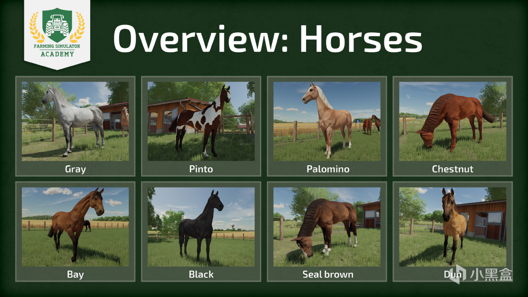 【PC遊戲】農場模擬2022動物篇馬-第1張