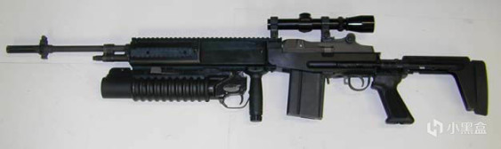 【游戏NOBA】APEX&TTF中G系列步枪的原型——“短命”的M14步枪-第33张