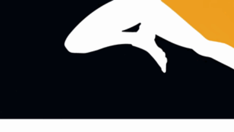 【东部季中赛预选】明星球,秀阵容 ?这场比赛它里都有!-第2张