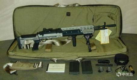 【游戏NOBA】APEX&TTF中G系列步枪的原型——“短命”的M14步枪-第36张