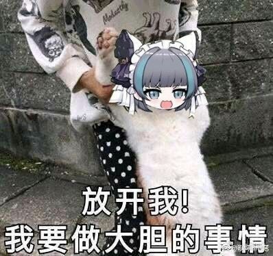 【游戏推荐】steam上适合萌新入坑的galgame(个人向)-第0张