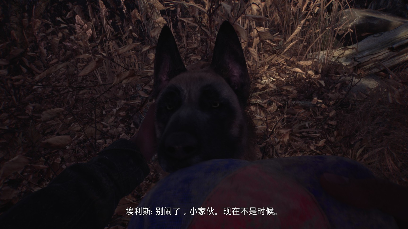 【PC遊戲】當你在恐怖遊戲中擁有一隻尋血獵犬～《女巫布萊爾》遊戲單推-第3張