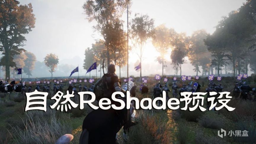 【MOD精选】画质享受，贴近自然！骑砍2《自然ReShade预设》发布！-第0张