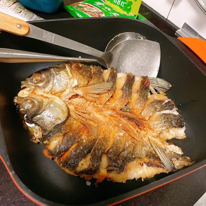 【小飯盒】家庭版烤魚（養豬計劃）-第5張