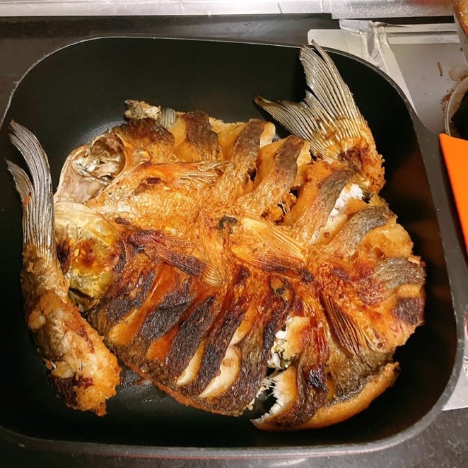 【小飯盒】家庭版烤魚（養豬計劃）-第6張