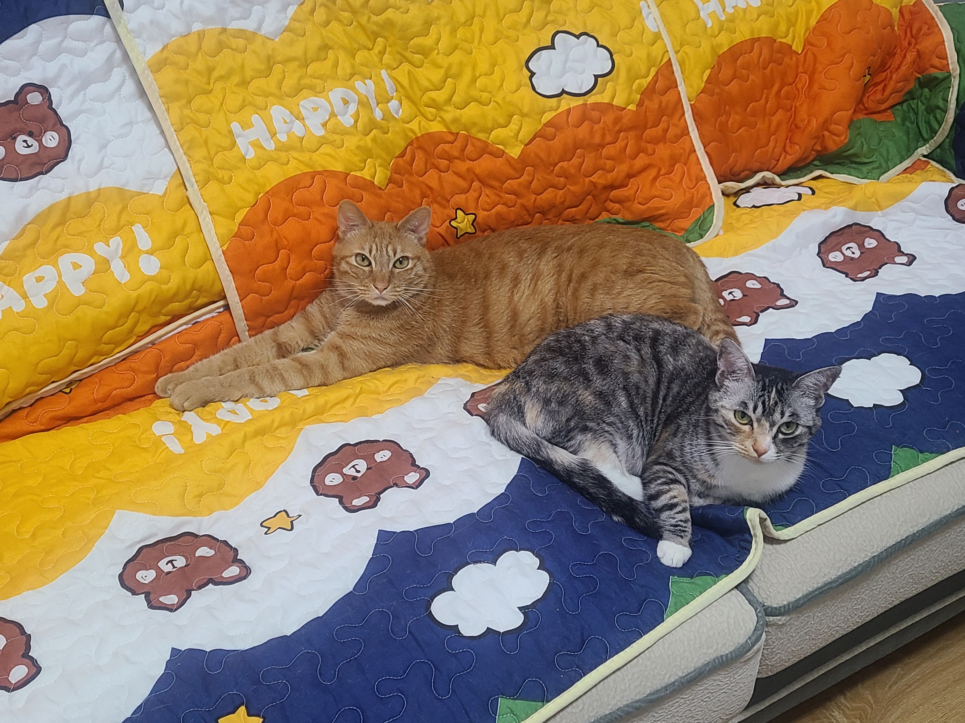 猫猫赛博朋克冒险游戏 Stray M站均分84 Ign8分