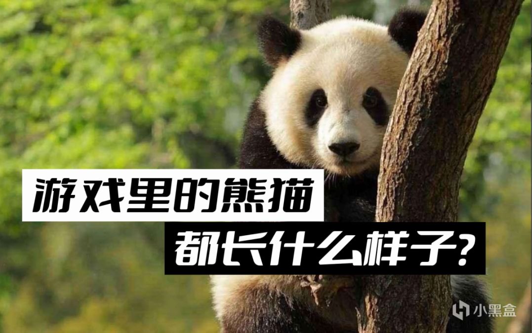 【PC游戏】游戏里的中国国宝！哪种熊猫你最喜欢？-第0张