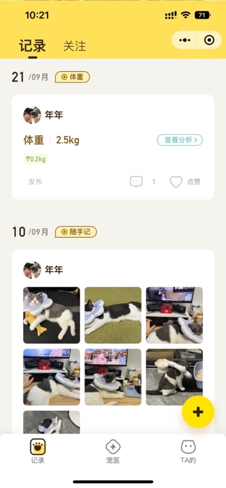 【萌宠】手把手教你养你的第一只猫：养猫有哪些好玩的app/小程序？——实用篇-第13张