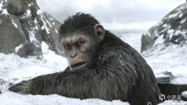 《猩球崛起4》官宣明年开拍，2024年上映，猩猩要全面占领地球了-第3张