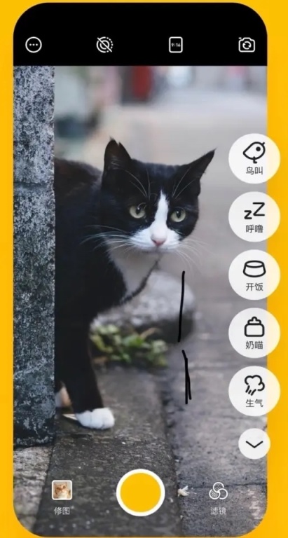 【萌宠】手把手教你养你的第一只猫：哪些app可以帮你养猫？——实用篇-第1张