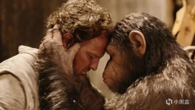 《猩球崛起4》官宣明年開拍，2024年上映，猩猩要全面佔領地球了-第4張