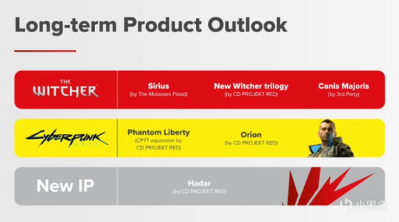 【PC游戏】市值蒸发75%后，CDPR终于带来了“新消息”-第0张