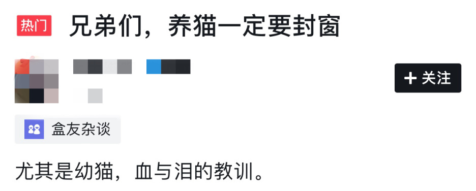 【萌寵】手把手教你養你的第一隻貓：今天我想再聊聊封窗——實用篇-第0張