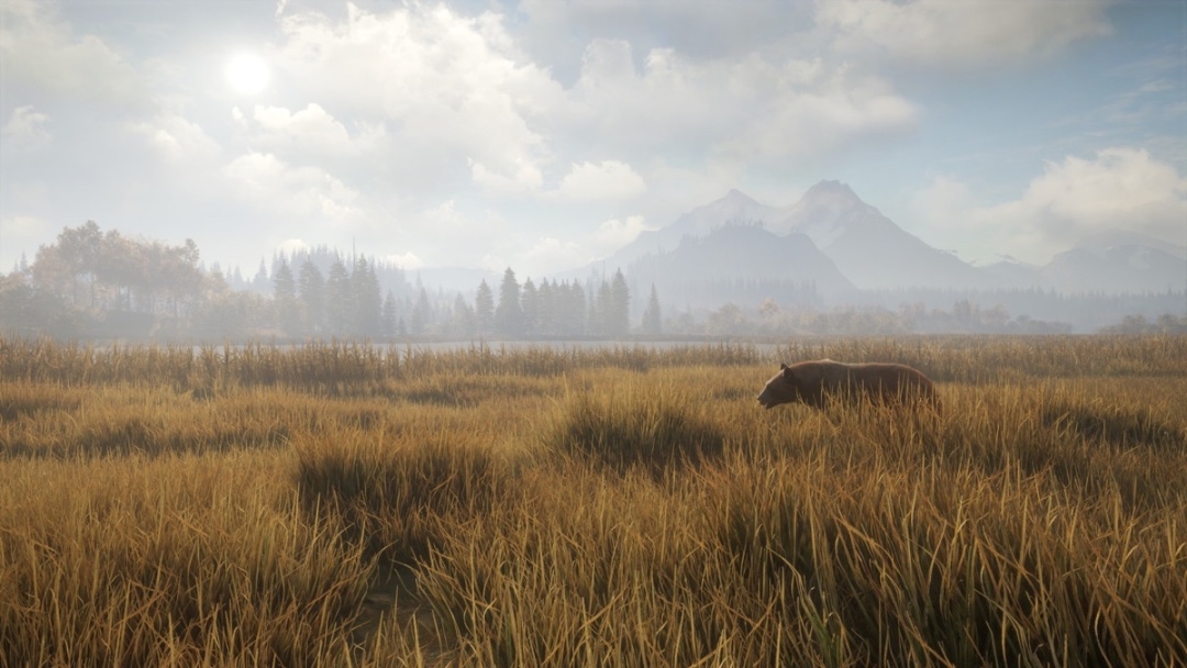 Steam特惠：《遗忘之城》《杀手3》《动物园之星》等特惠信息