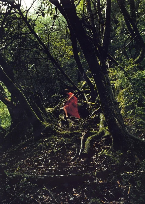 《迪迦奧特曼》麗娜-吉本多香美-2002出版攝影集-第19張