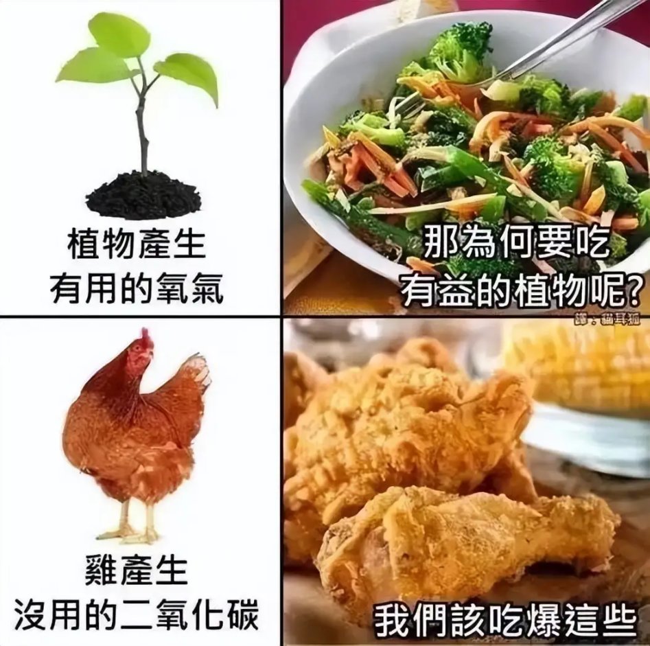【菜鸟沙雕图】你每个月的生活费有多少？