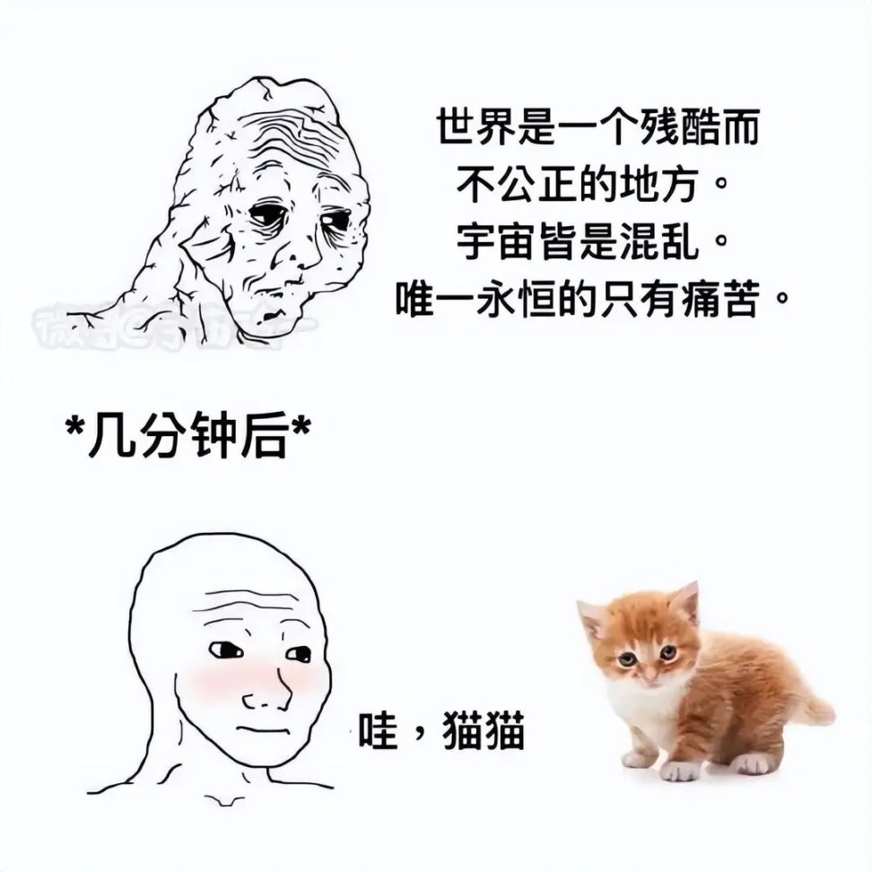 【菜鸟沙雕图】你每个月的生活费有多少？