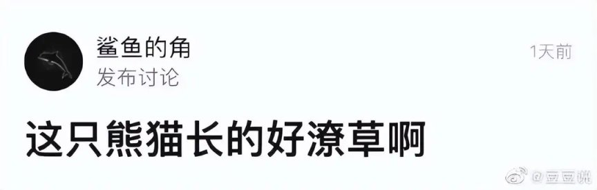 【菜鸟沙雕图】你每个月的生活费有多少？