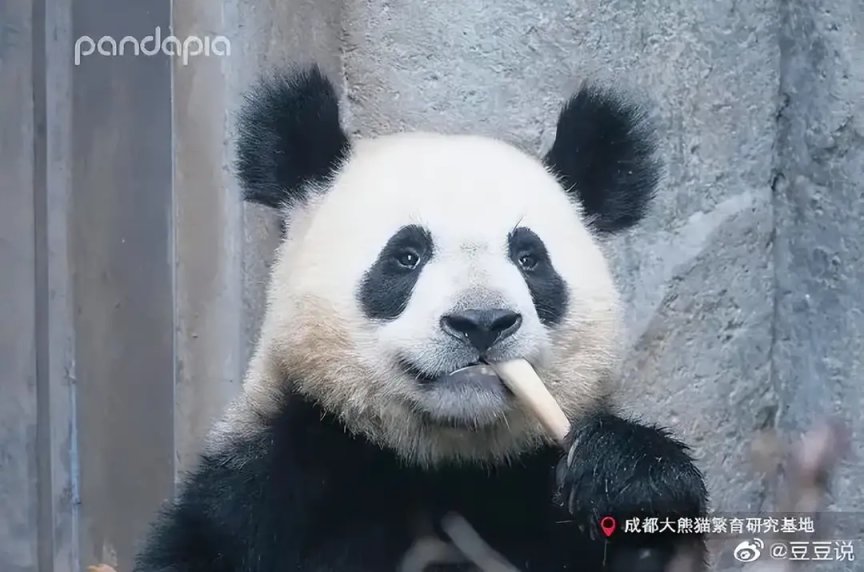 【菜鸟沙雕图】你每个月的生活费有多少？