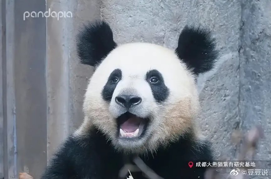 【菜鸟沙雕图】你每个月的生活费有多少？