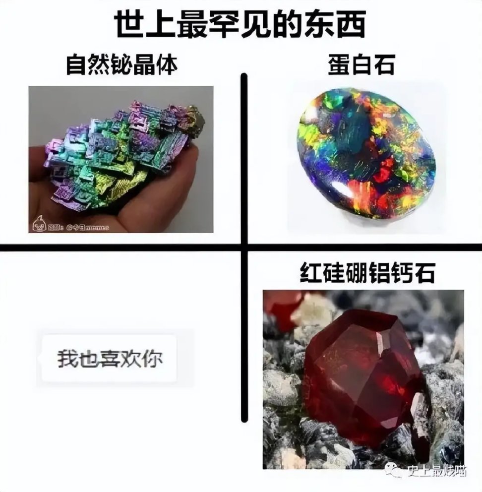 【菜鸟沙雕图】你每个月的生活费有多少？