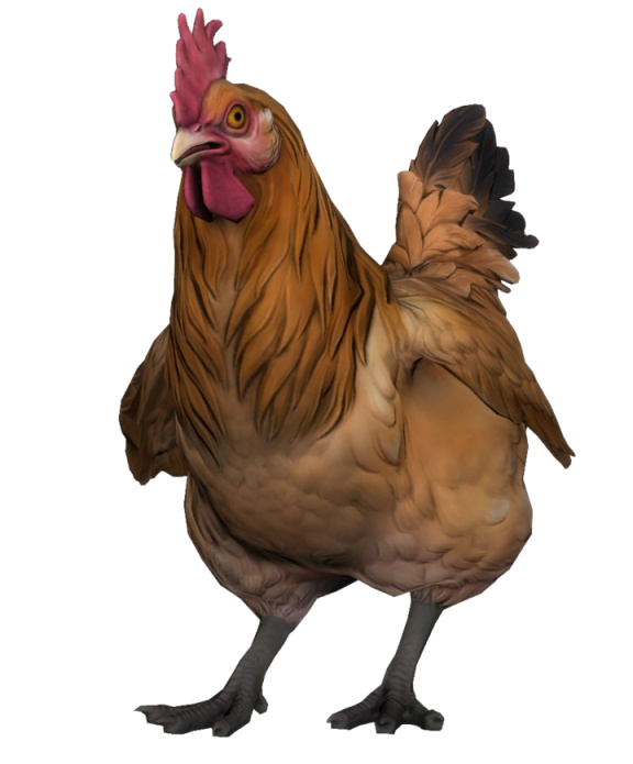 【CS:GO】为什么鸡是CSGO的吉祥物？-第34张