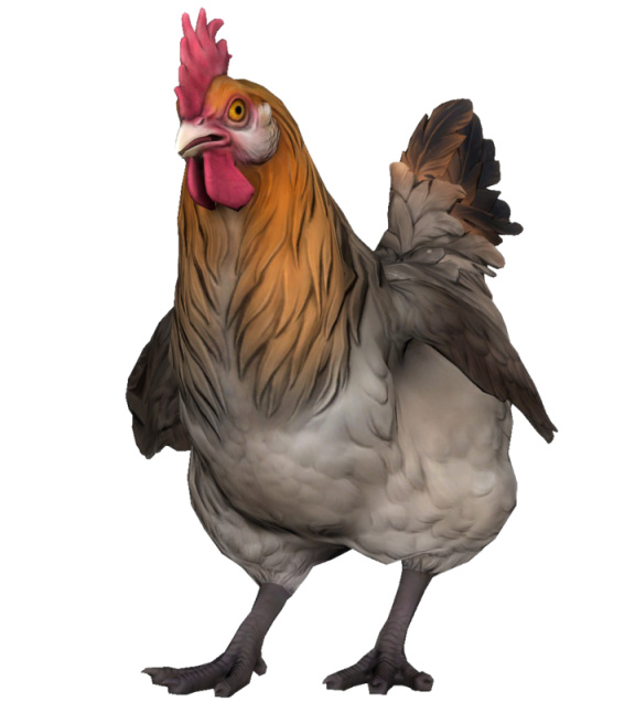 【CS:GO】为什么鸡是CSGO的吉祥物？-第33张