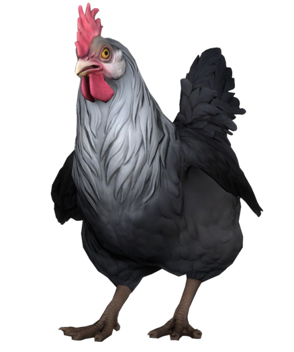 【CS:GO】為什麼雞是CSGO的吉祥物？-第35張