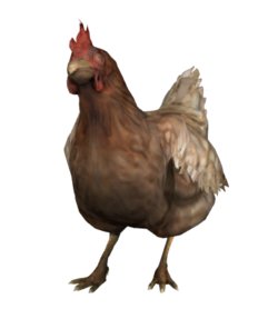 【CS:GO】為什麼CSGO玩家喜歡雞？-第30張