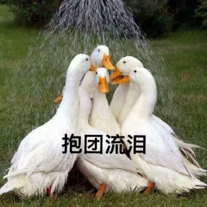 【Goose Goose Duck】讓主播們集體不務正業的"鴨鵝版"狼人殺,究竟有多好玩?-第27張