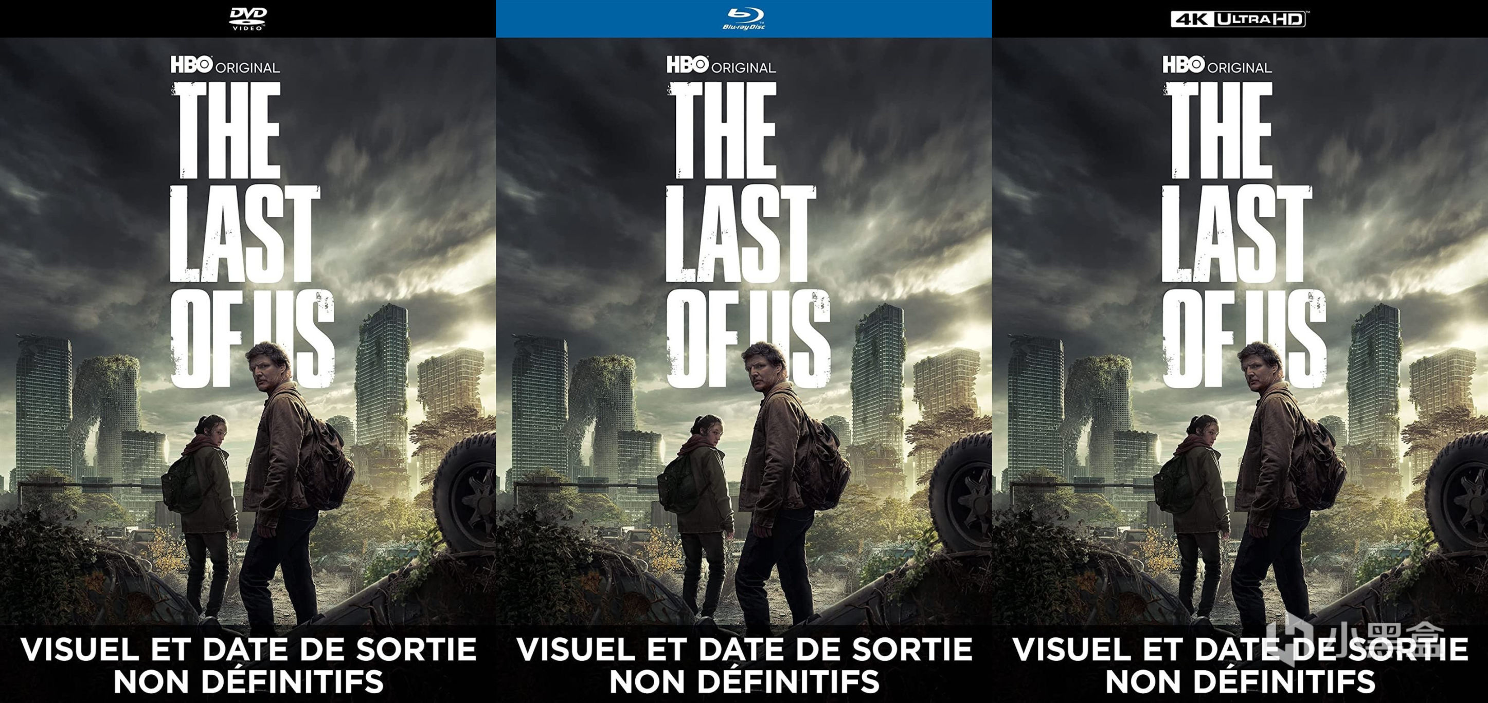 《最後生還者》美劇將推出完整版DVD藍光碟-第0張