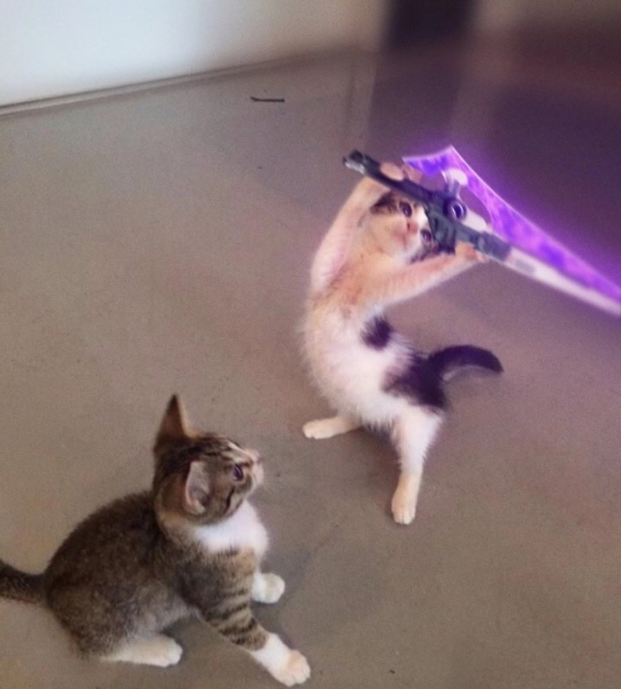 【命运2】分享一下我的年五常用金装幻化搭配！-第40张