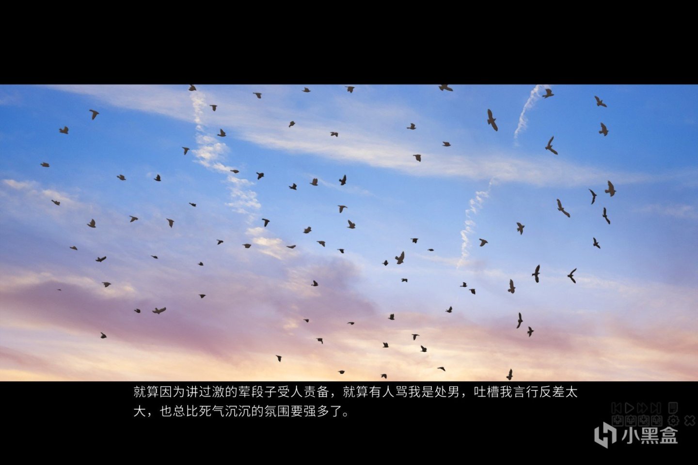 《未來廣播與人工鴿》：奪回被羽翼遮蔽的天空-第1張